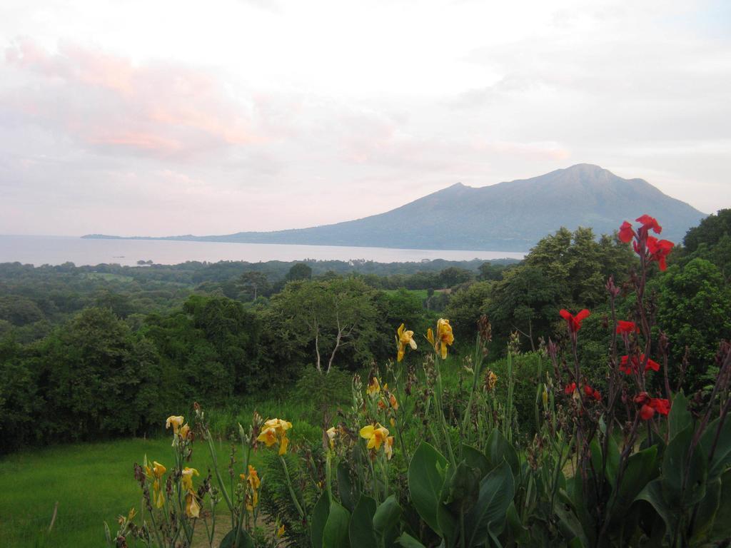 El Mirador Ecologico, Ometepe Hotell Altagracia Eksteriør bilde